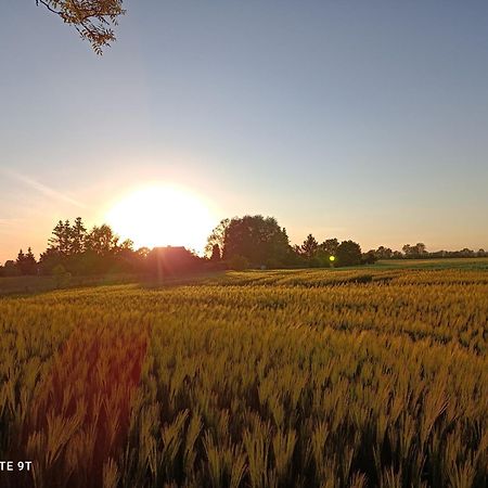 Herrenhaus Harmshagen Testorf-Steinfort Luaran gambar
